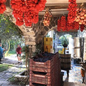 farmhouse amalfi coast agerola