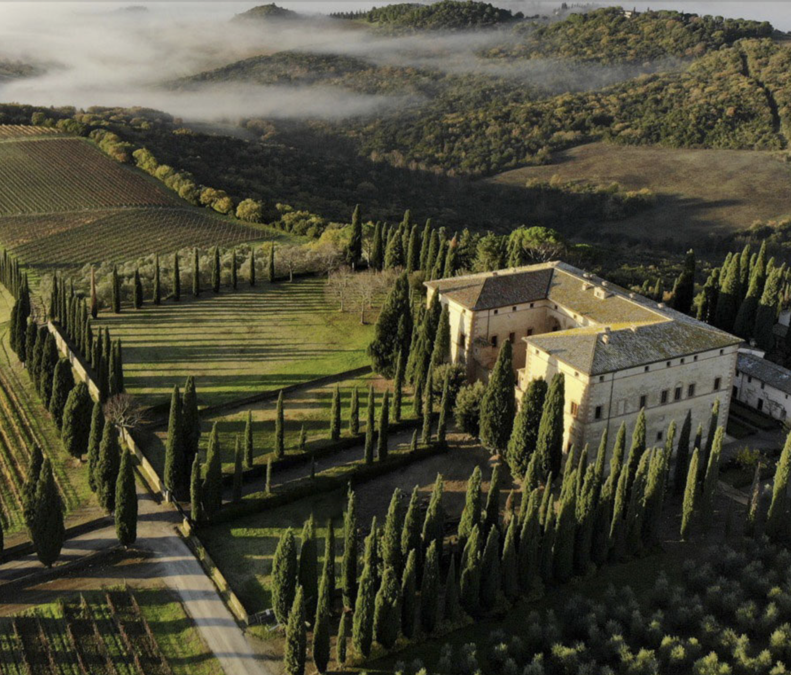 Giorno 5 | Montalcino; Visita di due Cantine: Pranzo e Degustazioni