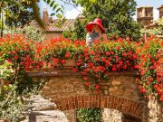 Boutique Hotels in Tuscany