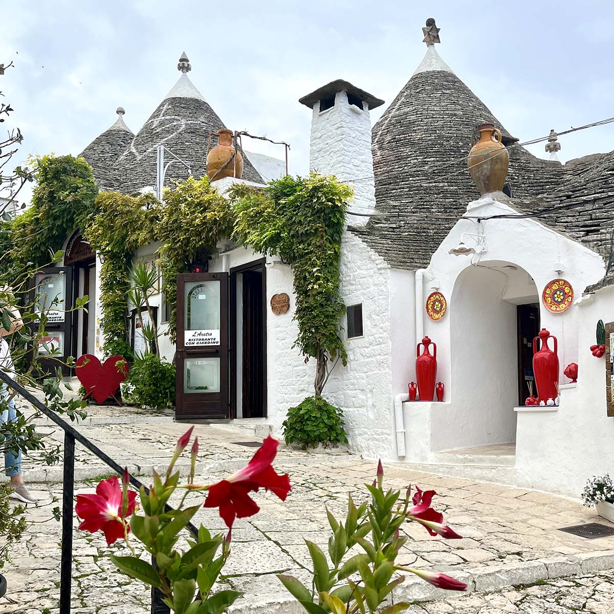 Giorno 7 | Alberobello, Wine Tour e Cena di Arrivederci